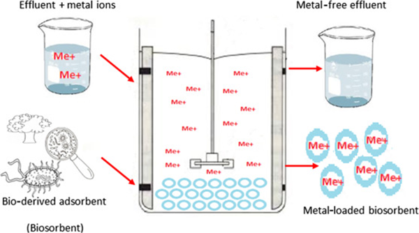 Verwijdering van zware metaalionen uit water en afvalwater (2)