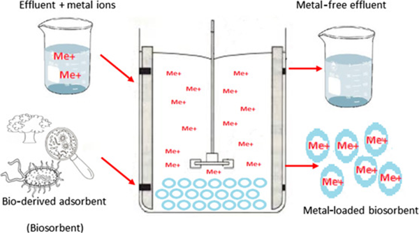 Ağır Metal İyonlarının Su ve Atık Sulardan Uzaklaştırılması (2)