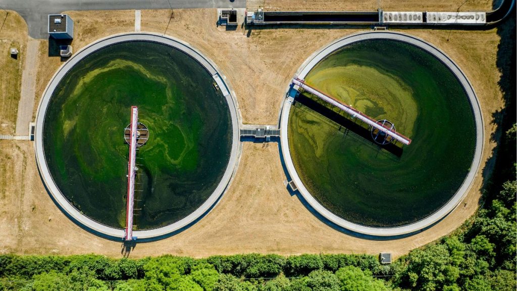 Microorganisms-in-Wastewater-Treatment-1024x576